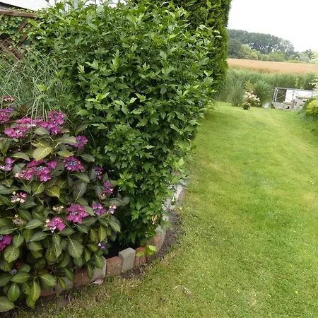 Haus Jane Holiday home